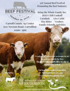 Beef Festival