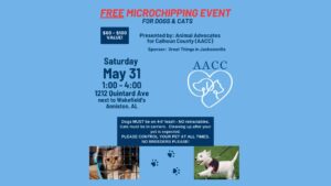 Free Micro-chipping Event
